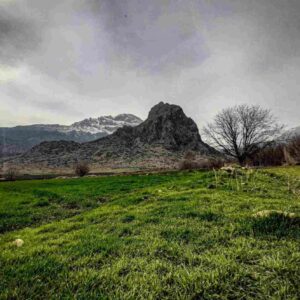 دانلود آهنگ نفست اخی ری گردنم جونم